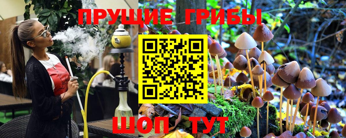Псилоцибиновые грибы прущие грибы  Псилоцибиновые грибы мухоморы  Знаменск  Вход с VPN 